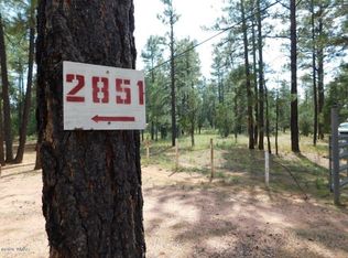 2851 Little Hawk Trl, Overgaard, AZ 85933