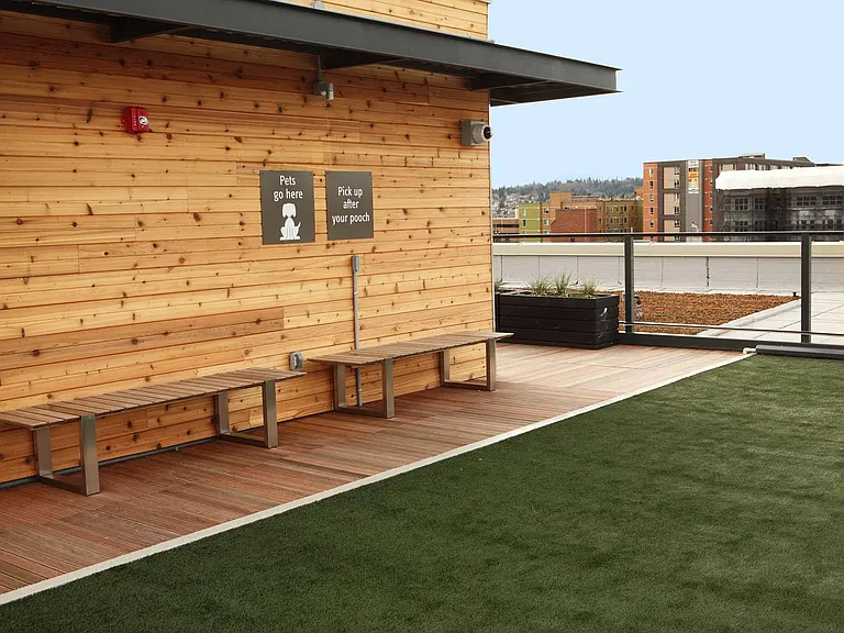 Give your dog the freedom to play and roam in the secure, open dog run area, designed for fun and exercise in a safe environment.