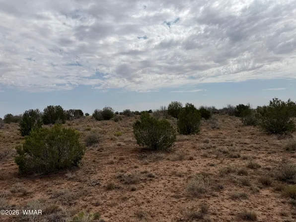 1037 Mira Rd #6, Heber, AZ 85928