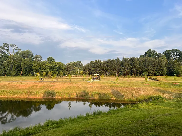 8185 Kennesaw Dr — Photo 42