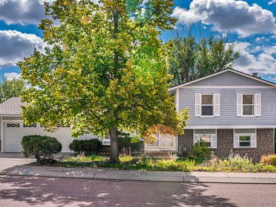 7065 Nettlewood Pl, Colorado Springs, CO, 80918