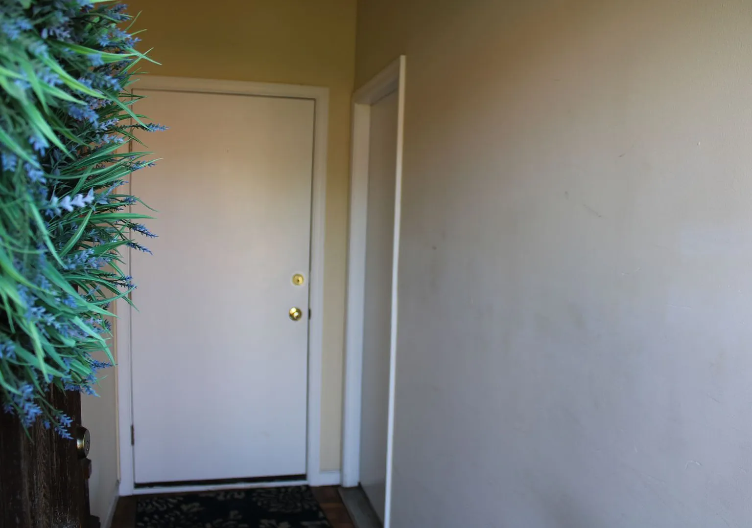 564 Race Street — Photo 3