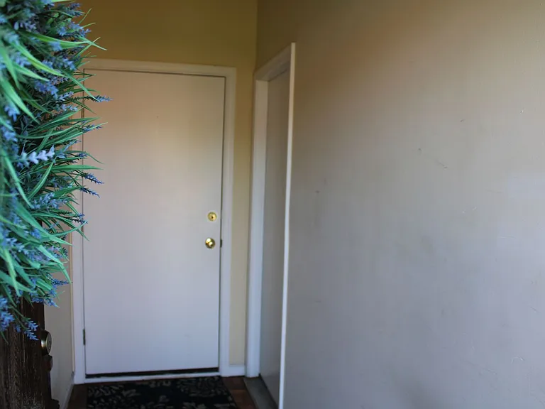 564 Race St — Photo 3