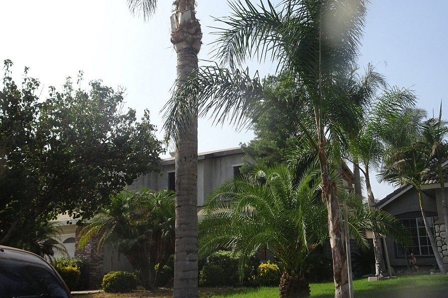 1st image of 3142 Clover Ln