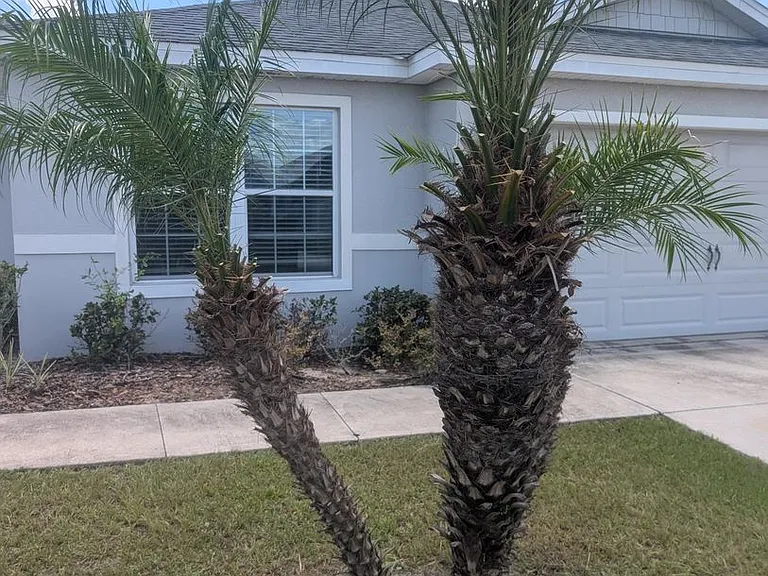 3902 White Ibis Rd — Photo 24