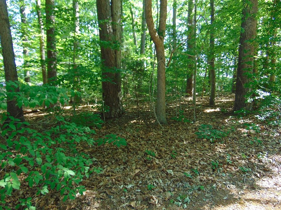 2nd image of 3107 Piney Point Dr