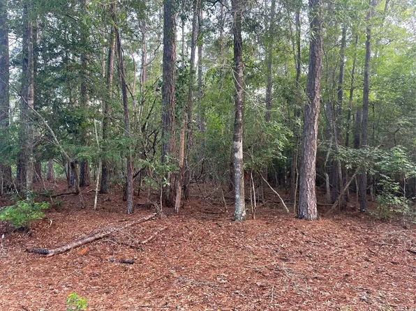 LOT 2 Buckeye St W, Village Mills, TX 77663