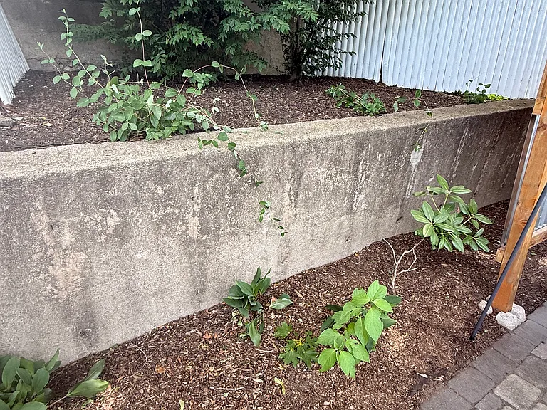 173 Rankin Ave — Photo 30