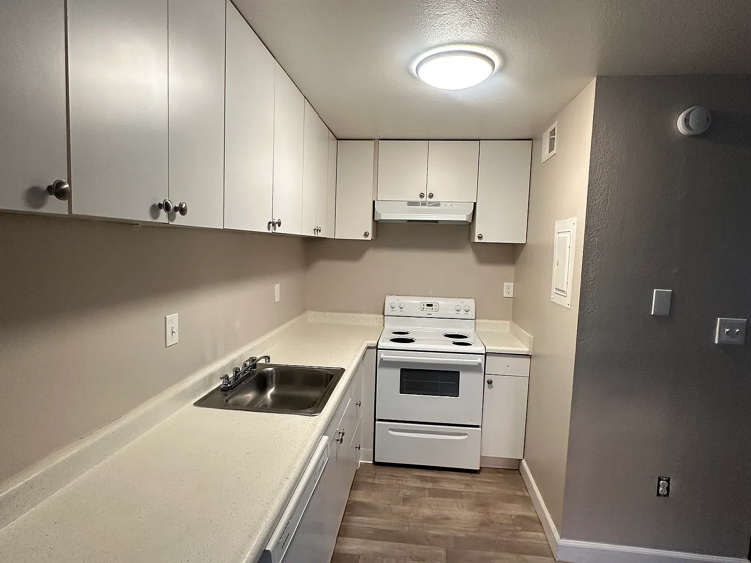 1 bed, 700 sqft, $1,335 — Photo 4