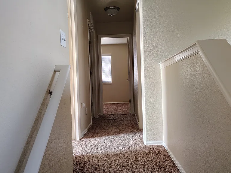 4850 Haiti Way — Photo 15