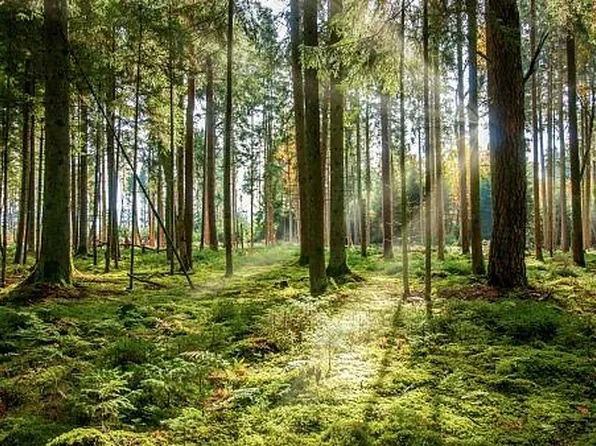 23 Ashaway Rd #R, Westerly, RI 02891