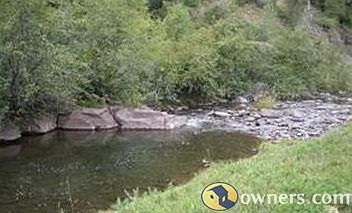 Trout fishing & swimming hole