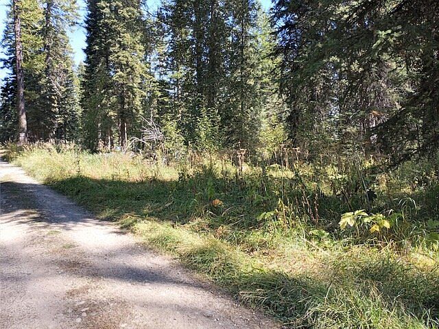 Grouse Trail access road to the Subject Property running along the west side of the Property.