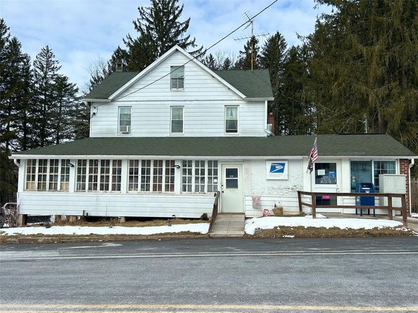 359 County Road 95, Fremont, NY 12736