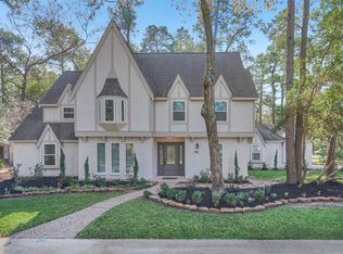 41 Buttonbush Ct, Spring, TX 77380