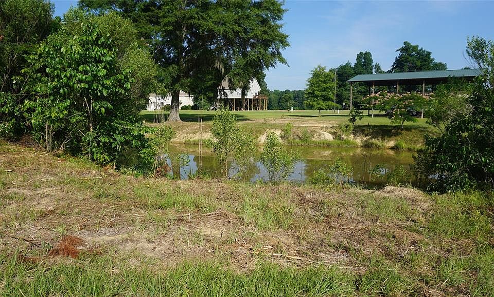 1st image of 2409 Brinson Pl