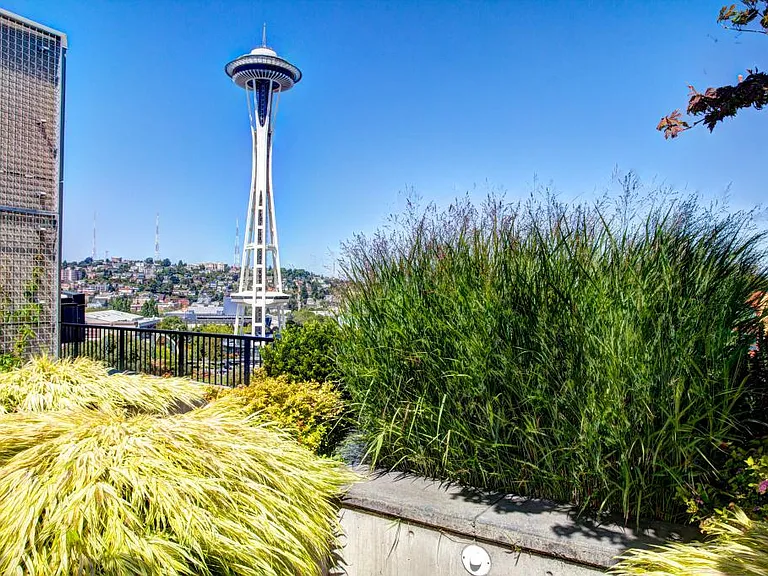 Rooftop View