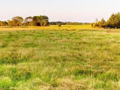 Fm 279, Ben Wheeler, TX, 75754