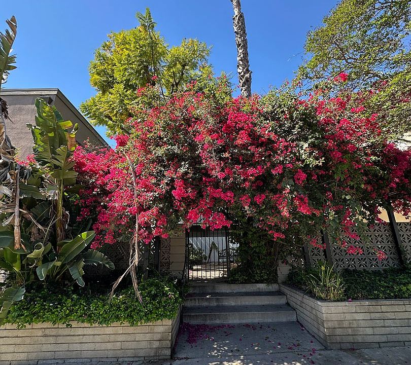 1st image of 10805 Camarillo St #3