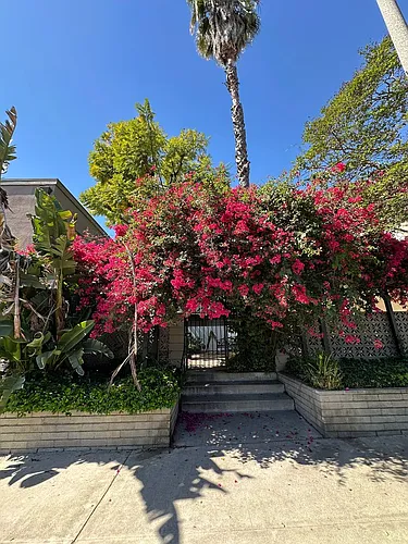 10805 Camarillo St Photo 1