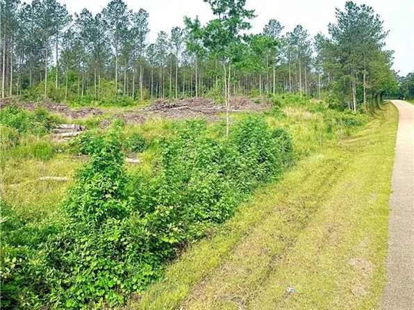 LOT 4 Lee Rd, Franklinton, LA 70438