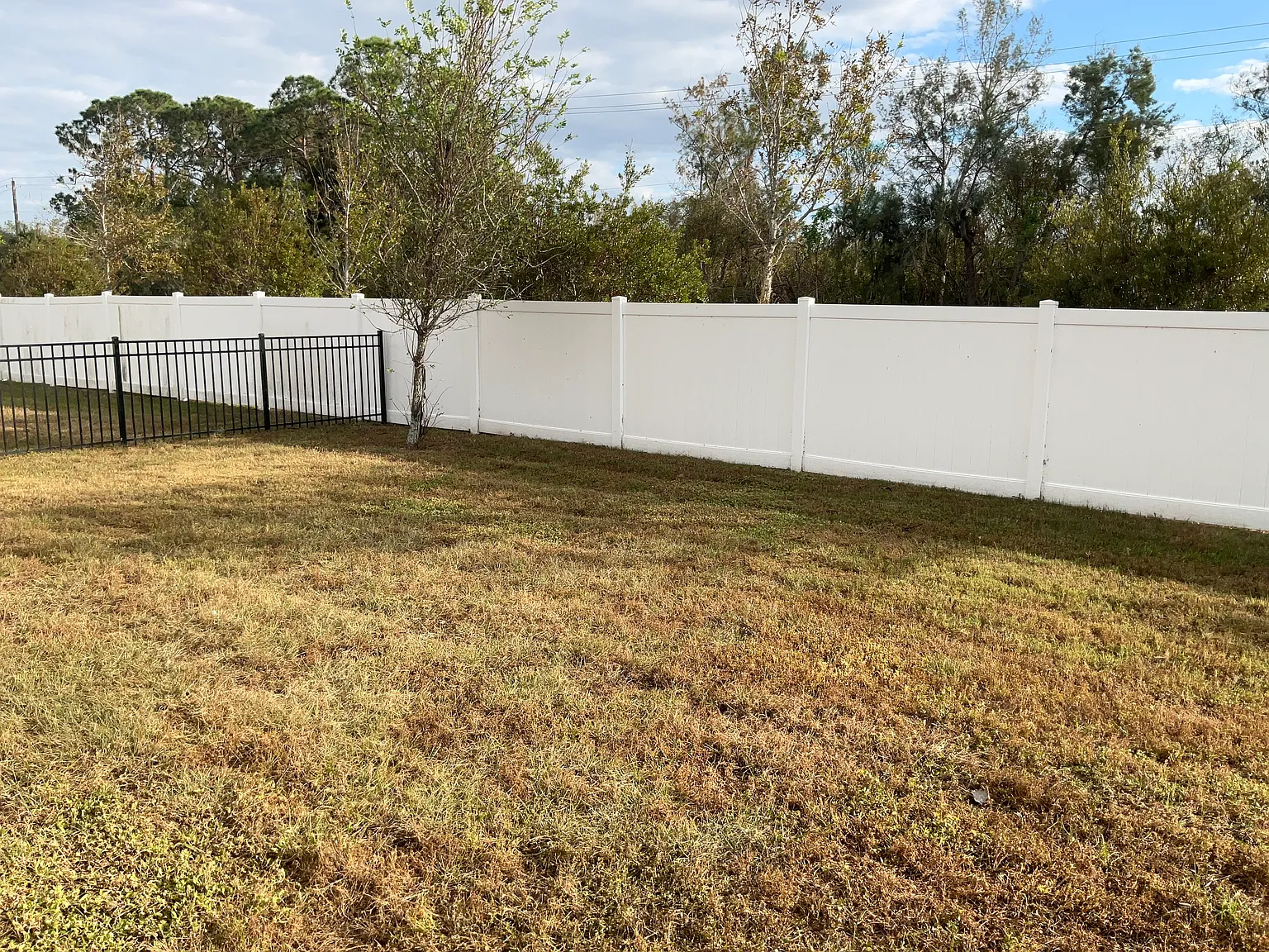 3 bed, 2.5 bath, 2060 sqft, $2,510 — Photo 4