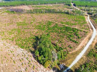 Lady Luck Parcel Id 246461 Ln LOT 76, Livingston, TX 77351