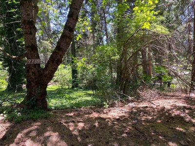 3045 Midway Ave, Pollock Pines, CA, 95726