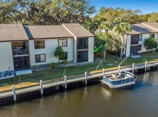 357 Moorings Cove Dr, Tarpon Springs, FL 34689