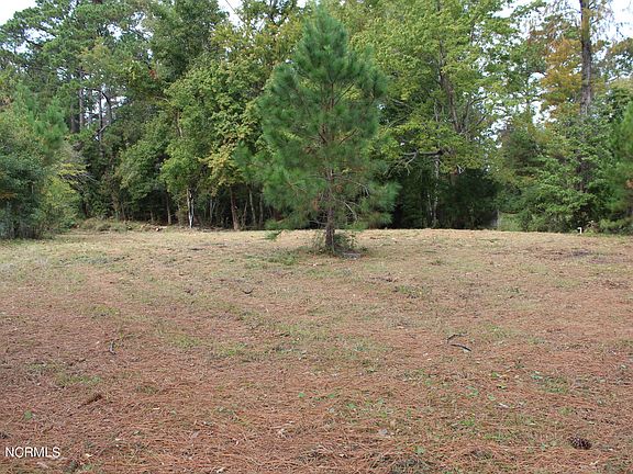 2nd image of 191 Gray Squirrel Ln Lot 13