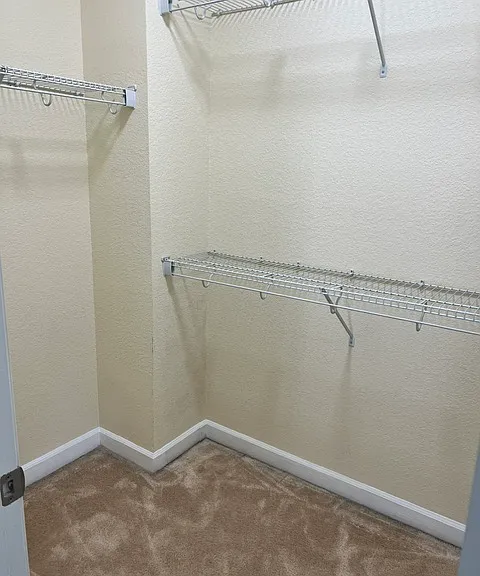 3122 Barred Owl Ln — Photo 14