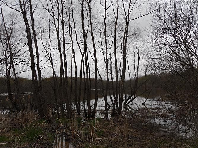 2nd image of 743 Catfish Dr