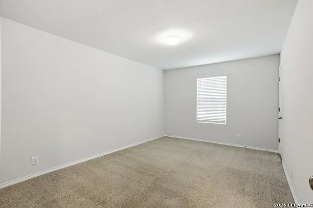 12611 Auriga — Photo 27