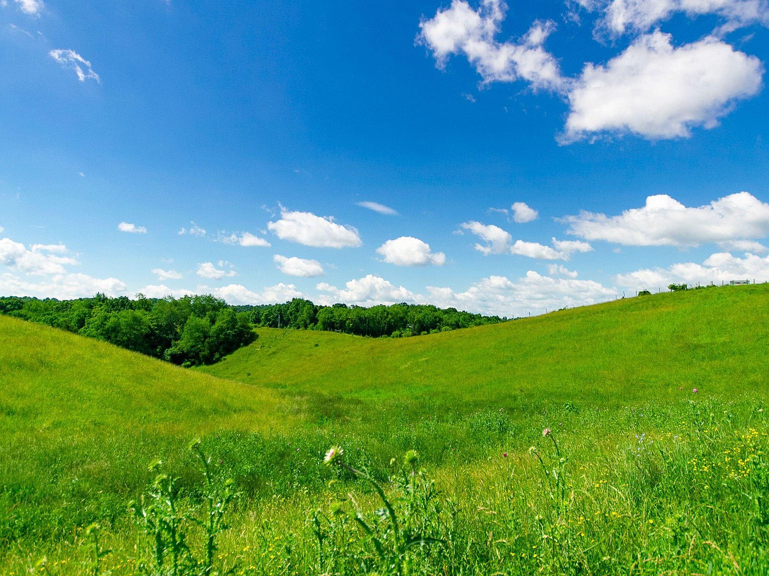 1090 Reed Creek Dr, Draper, VA 24324 Zillow