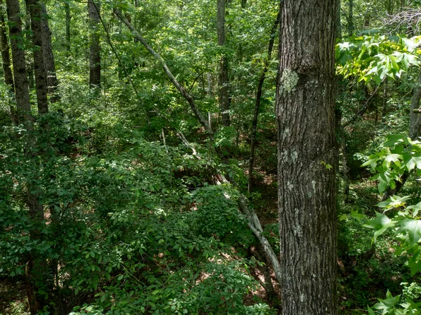 0 Rocky Mount Rd, Greenville, GA 30222