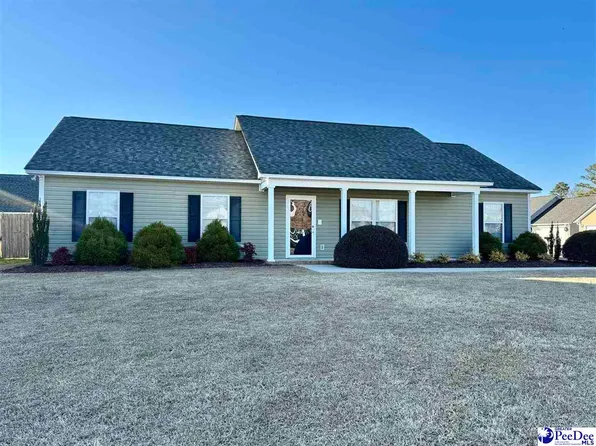 3025 Red Berry Cir, Effingham, SC 29541