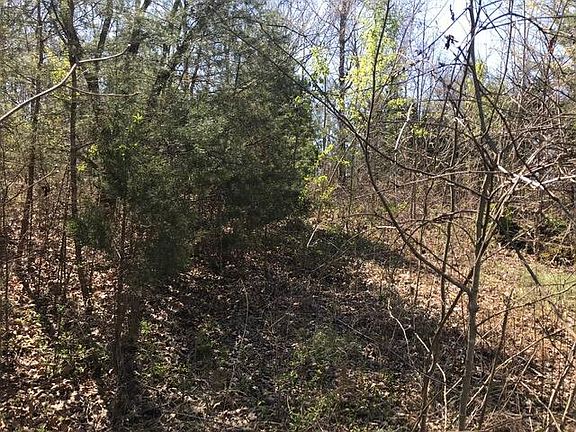 5th image of 0 Hill Dr #26