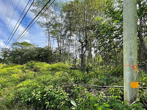 4th image of Kahakai Blvd Lot 392