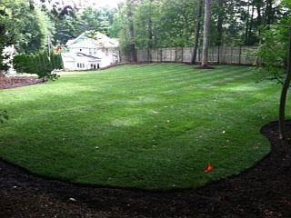 Beautiful Spacious Yard