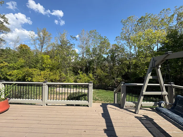 1007 New Harmony Dr — Photo 41