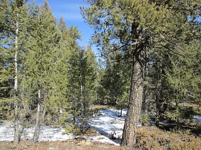 3rd image of 2503 County Road 782