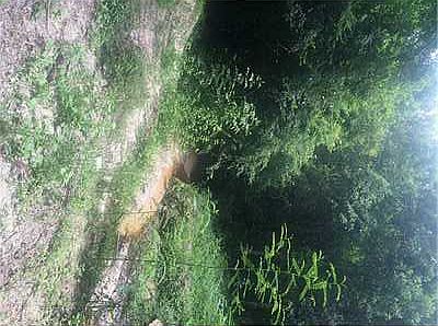 2nd image of 115 Winchester Dr