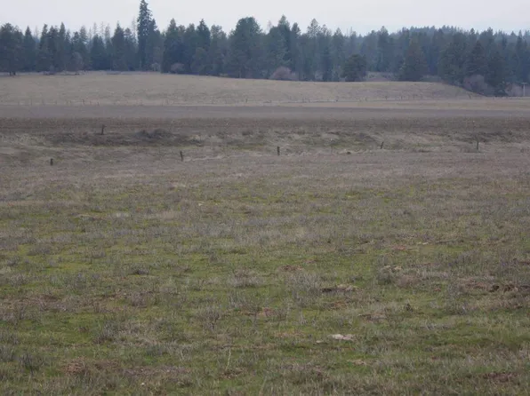36277 N Elk Chattaroy Rd, Elk, WA 99009