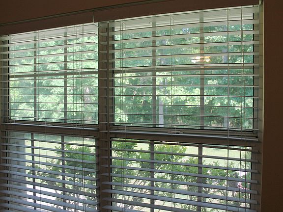Master Bedroom Windows