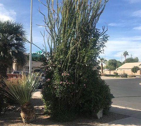 2nd image of 3924 E Yucca St