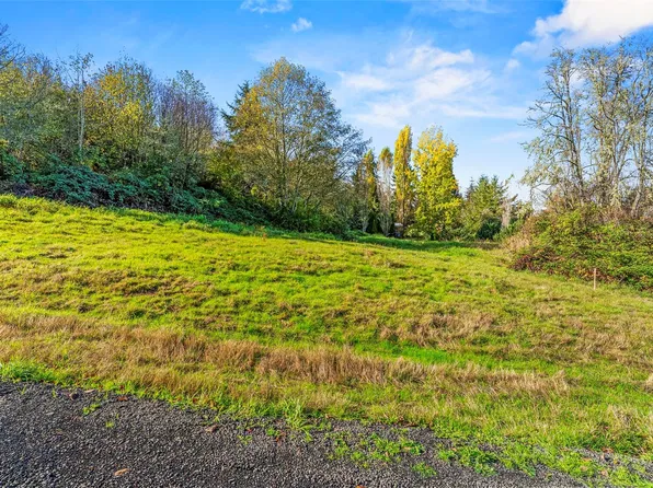 186 Elochoman Valley Road Lot 1, Cathlamet, WA 98612