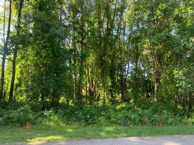 310 Arnstrom Dr, Gobles, MI, 49055