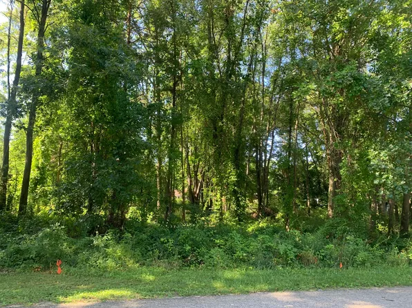 310 Arnstrom Dr, Gobles, MI 49055