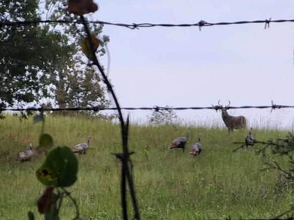 2nd image of 000 Oregon County 371