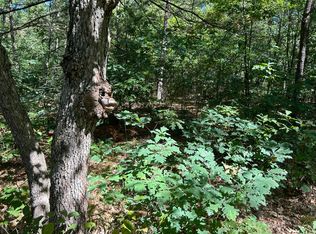 W Saginaw Bay St, Baldwin, MI 49304